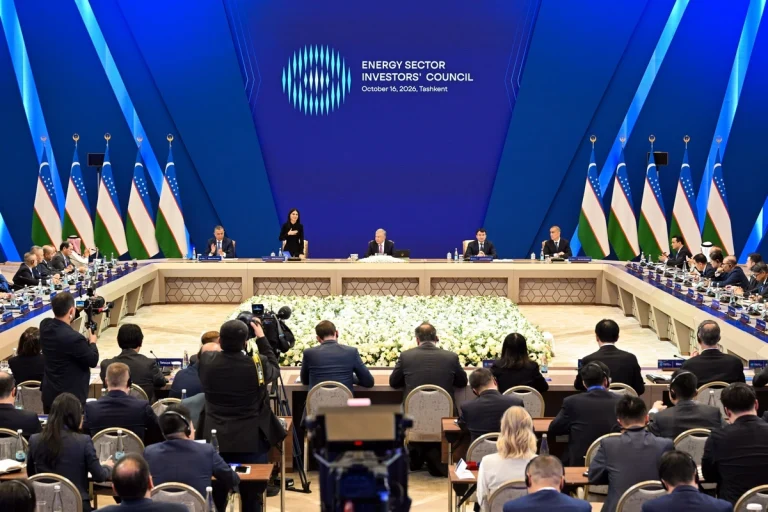 Saida Mirziyoyeva to chair Investors' Council in energy sector of Uzbekistan