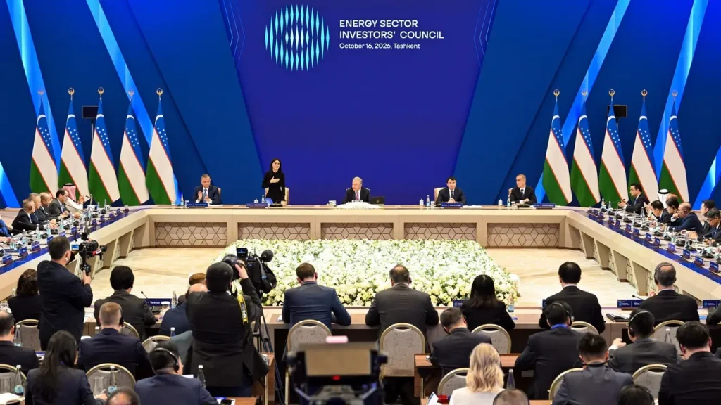 Uzbekistan creates energy investors’ council under Saida Mirziyoyeva